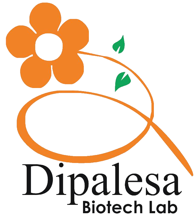 Dipalesa Biotech Lab